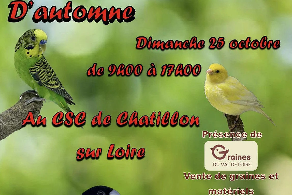 Bourse aux oiseaux