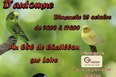 Bourse aux oiseaux