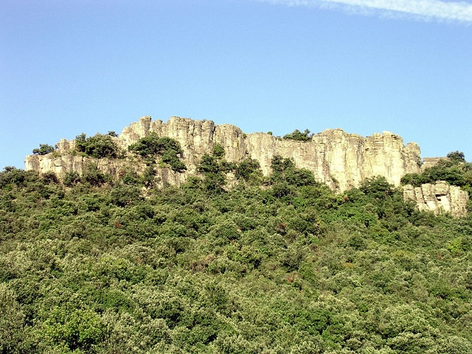 DÉCOUVERTE “LES ORGUES DE TAUSSAC”