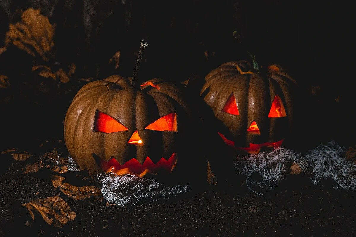 Atelier : décoration de citrouilles