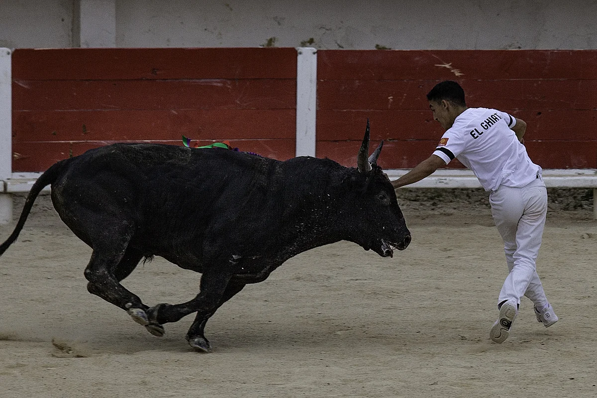 Course camarguaise aux arènes «Finale Trophée de l’Avenir»