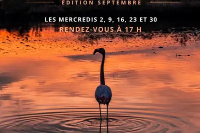 Balade au crépuscule - Edition septembre 2026