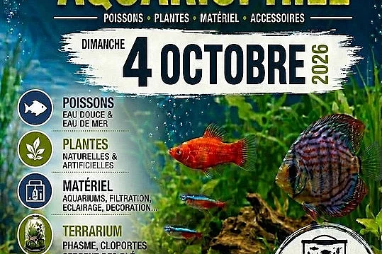 Bourse aquariophile