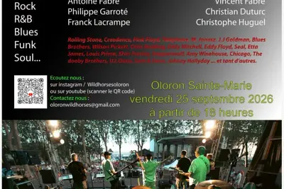 Concert des Wild Horses