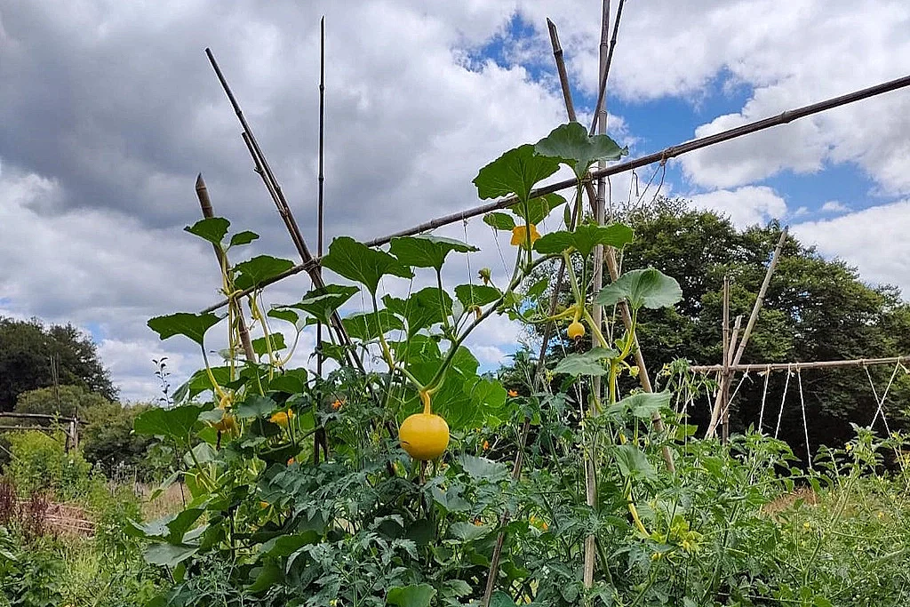 Initiez-vous à la permaculture à St-Laurent-les-Eglises - Septembre
