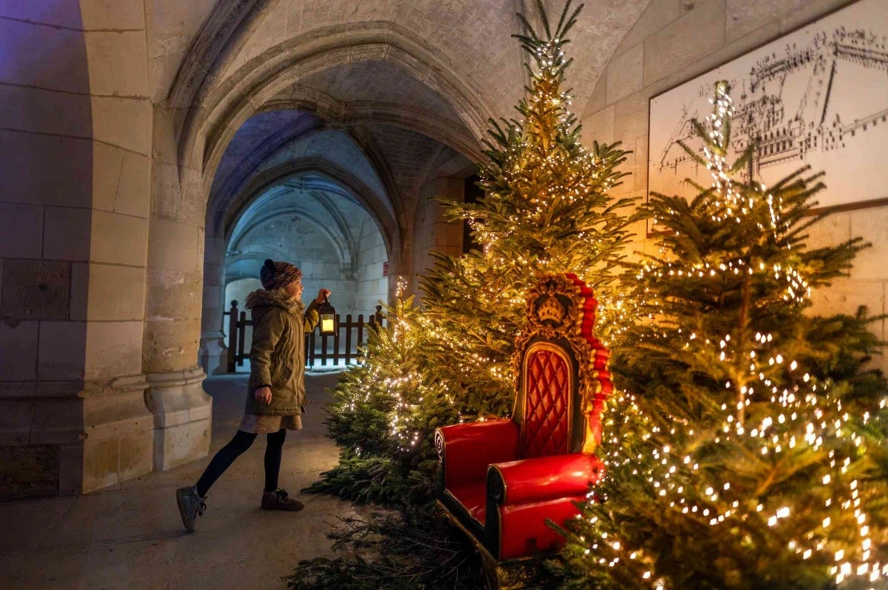 Noël au Pays des Châteaux : Le Noël royal des animaux !