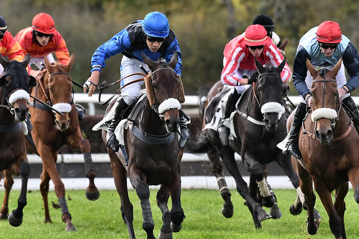 Courses hippiques de Novembre