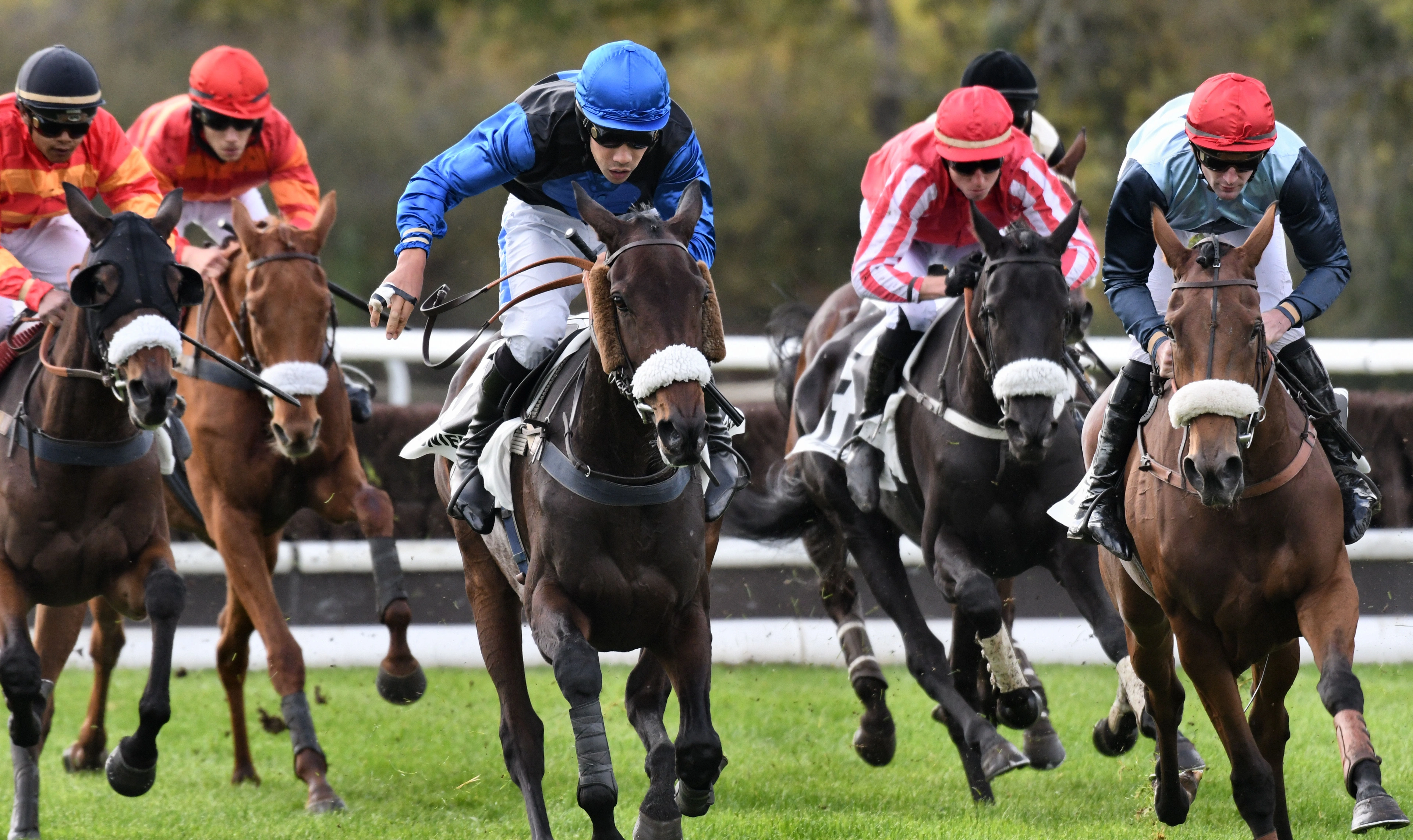 Courses hippiques de Novembre