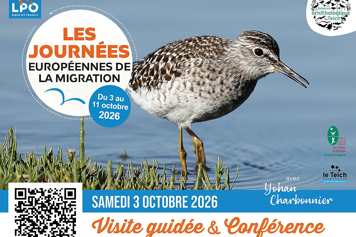 Conférence : « Identifier, suivre et préserver : le rôle du baguage dans l’étude des oiseaux »