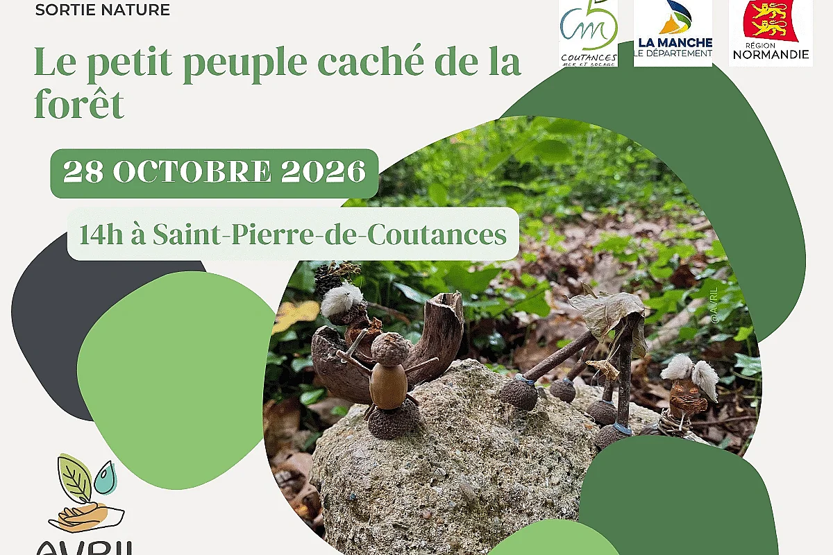Le petit peuple caché de la forêt