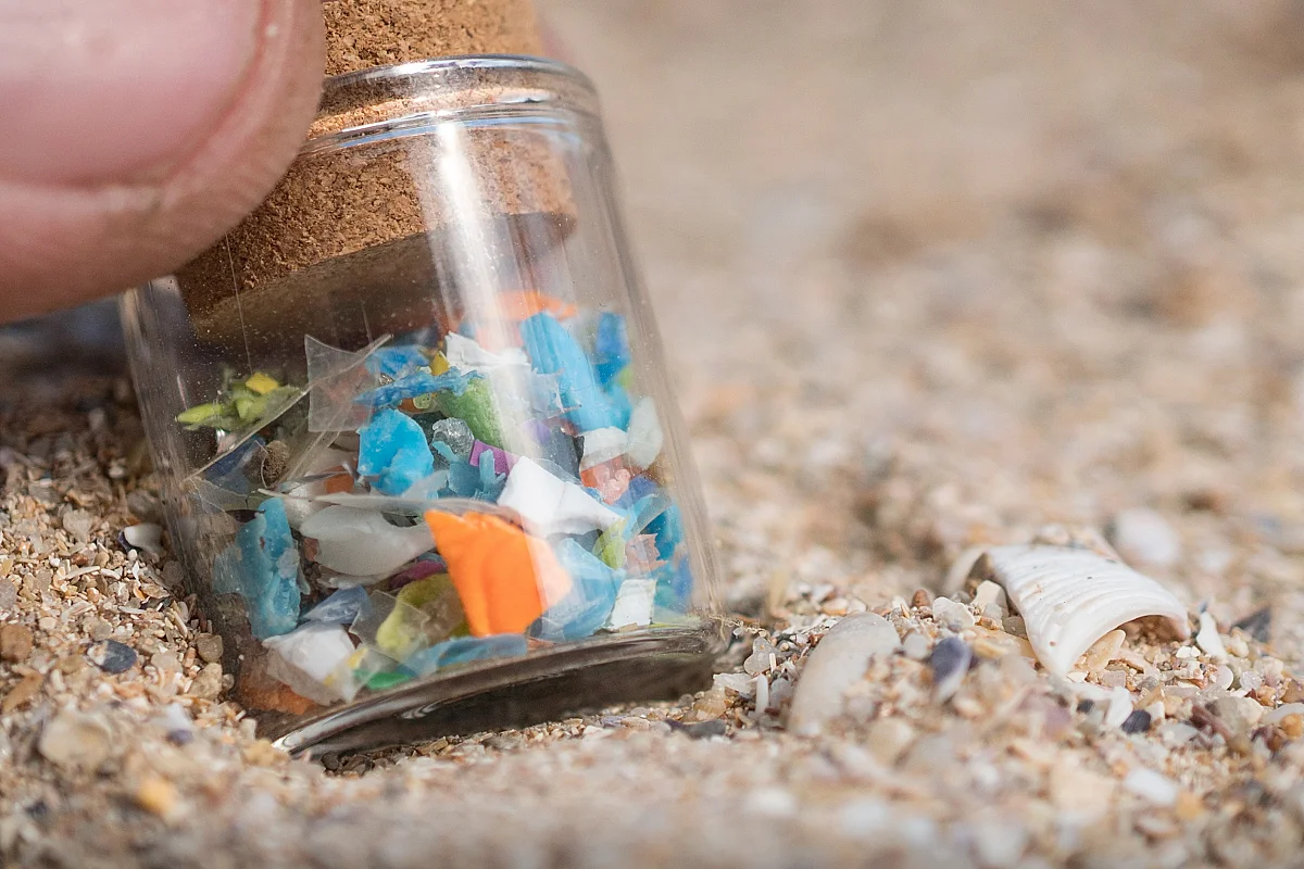 Conférence sur les microplastiques avec la Maison de la Loire