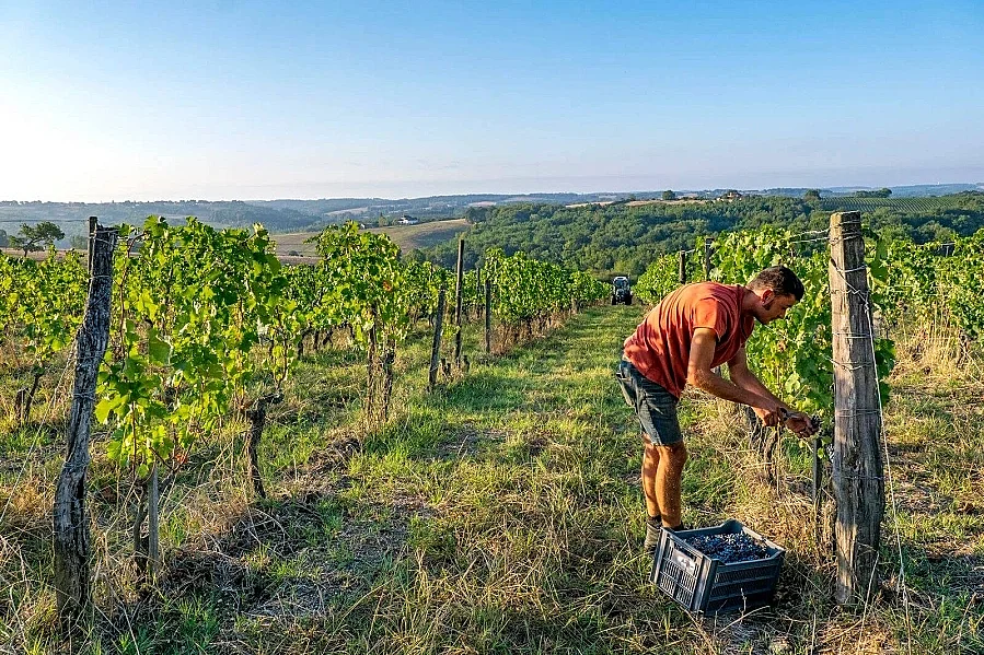 Atelier dégustation : Vallée de la Garonne et affluents