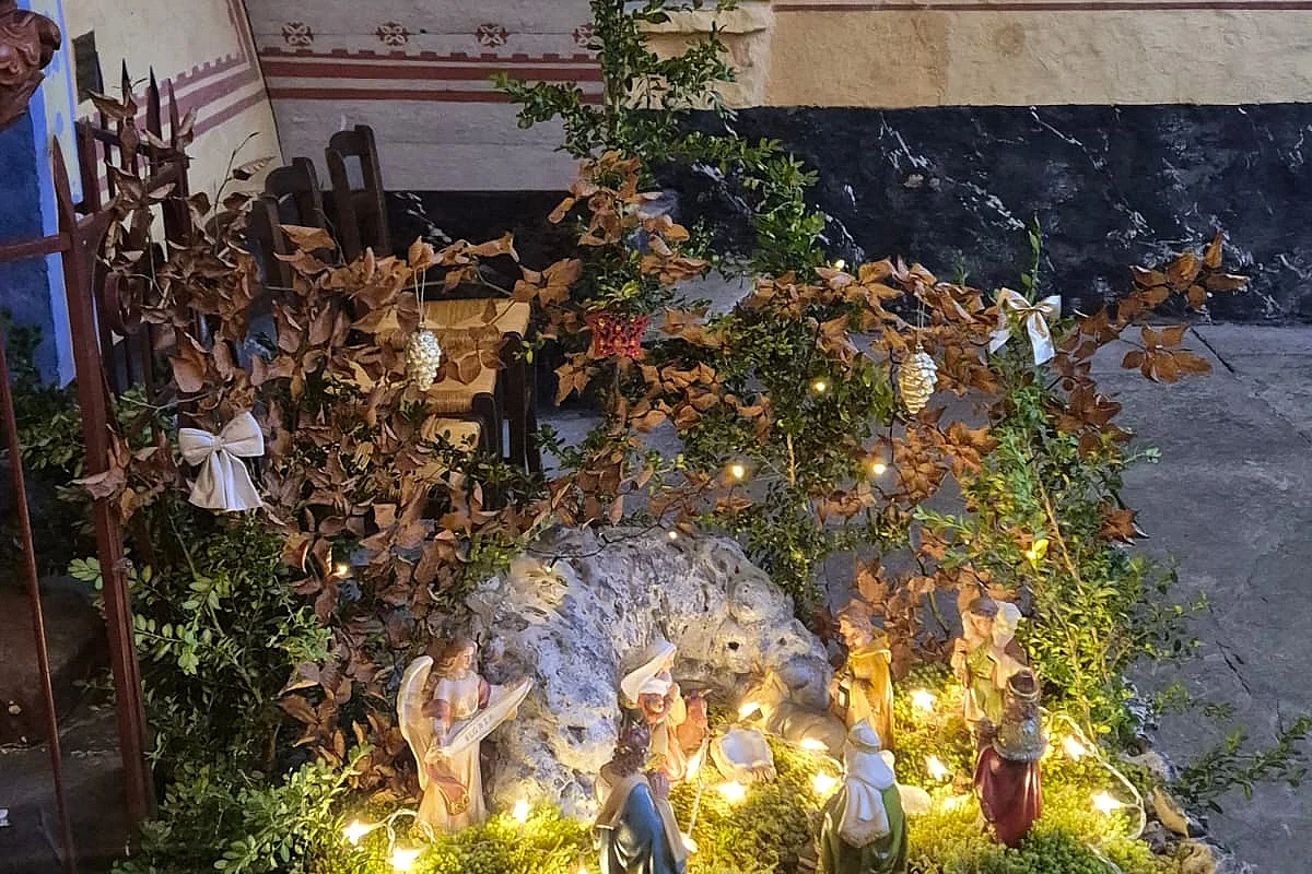 CRÈCHE ET SAPIN DE L'ÉGLISE DE LA PIGUIÈRE