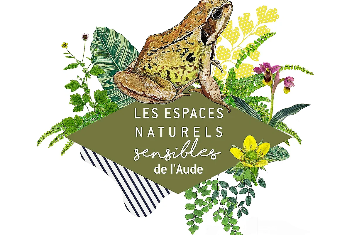 ENS - AUTOUR DE LA LAGUNE : PLANTES ET PAYSAGES