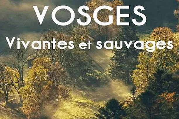 Conférence les vosges vivantes et sauvages