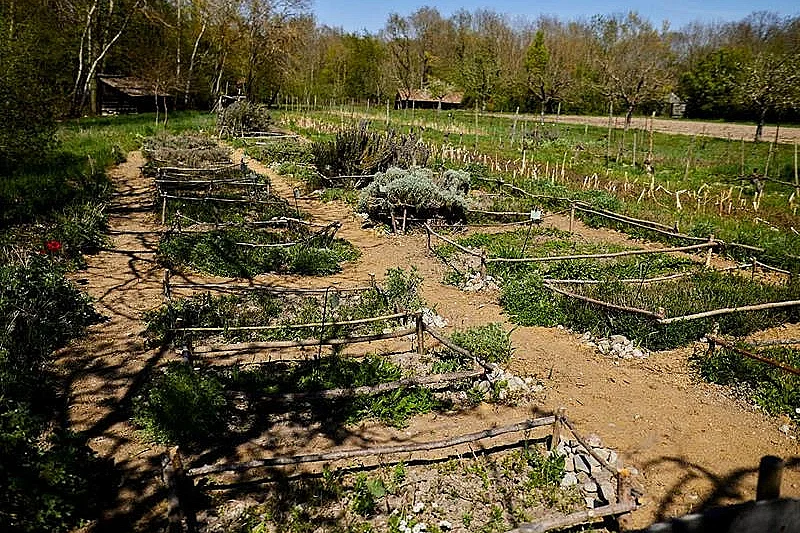 Rendez-vous nature : À la découverte de la nature