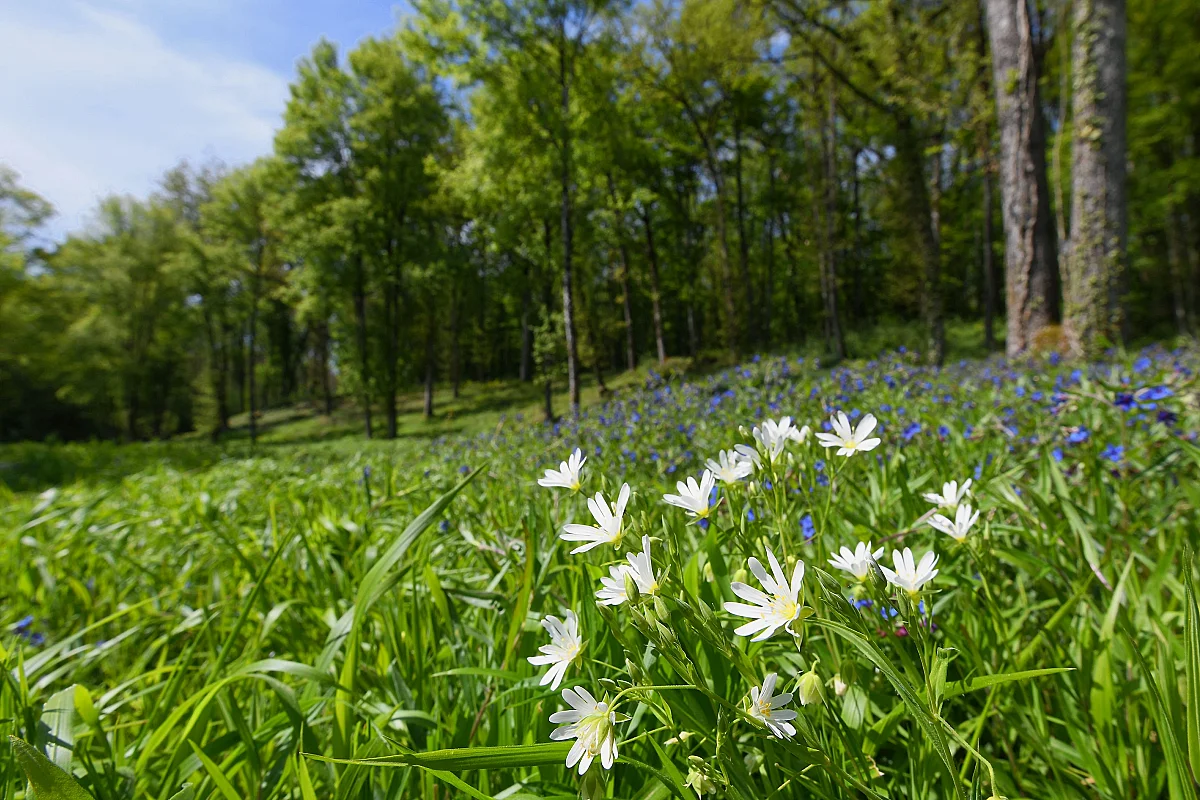 Visite des étangs de Narbonne au fil des saisons