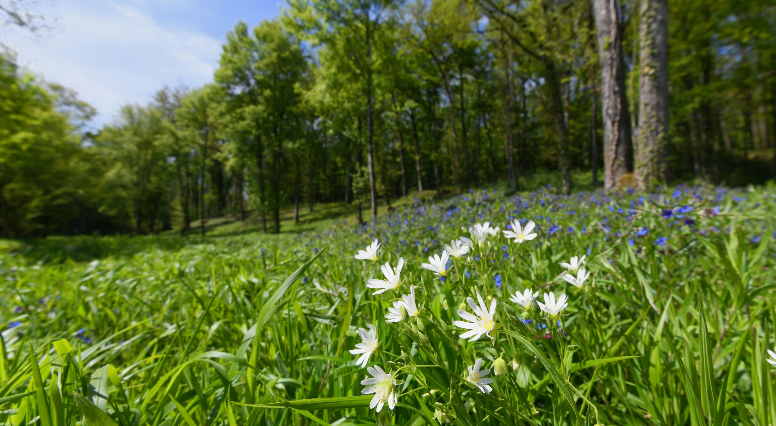 Visite des étangs de Narbonne au fil des saisons