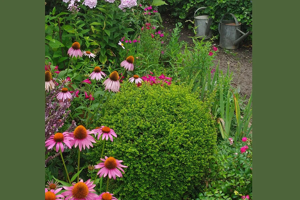 Visite guidée "Le jardin de Michel et Jacqueline"
