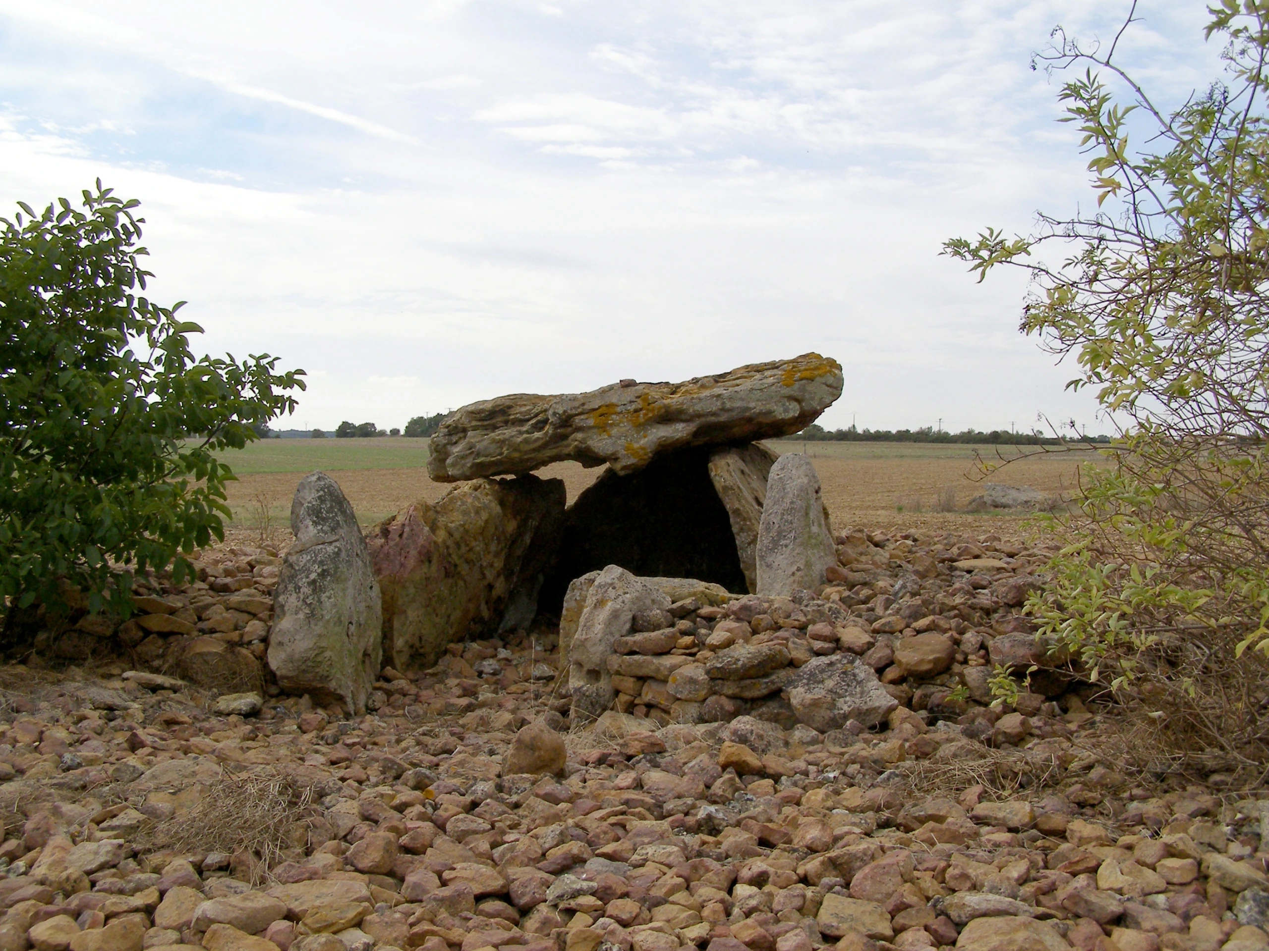 Visite des dolmens de la nécropole de Monpalais