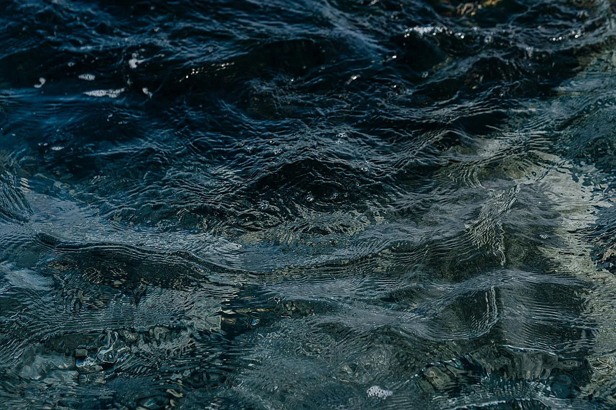 Exposition de photographies "L'eau"