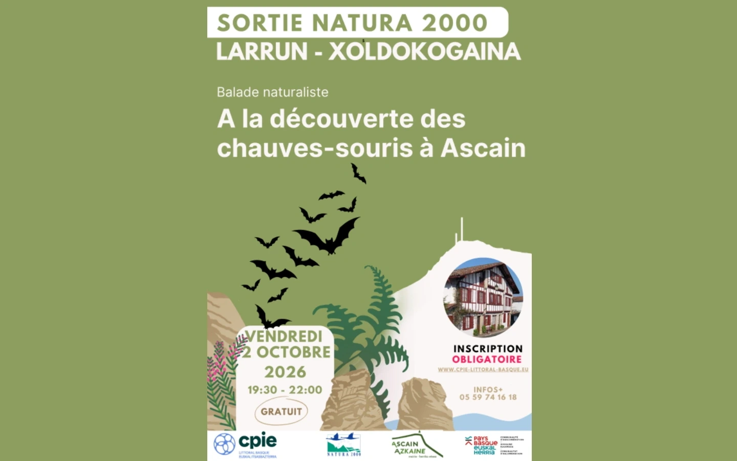 Balade naturaliste : à la découverte des chauve-souris
