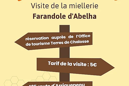 La vie de l'abeille - visite d'une miellerie