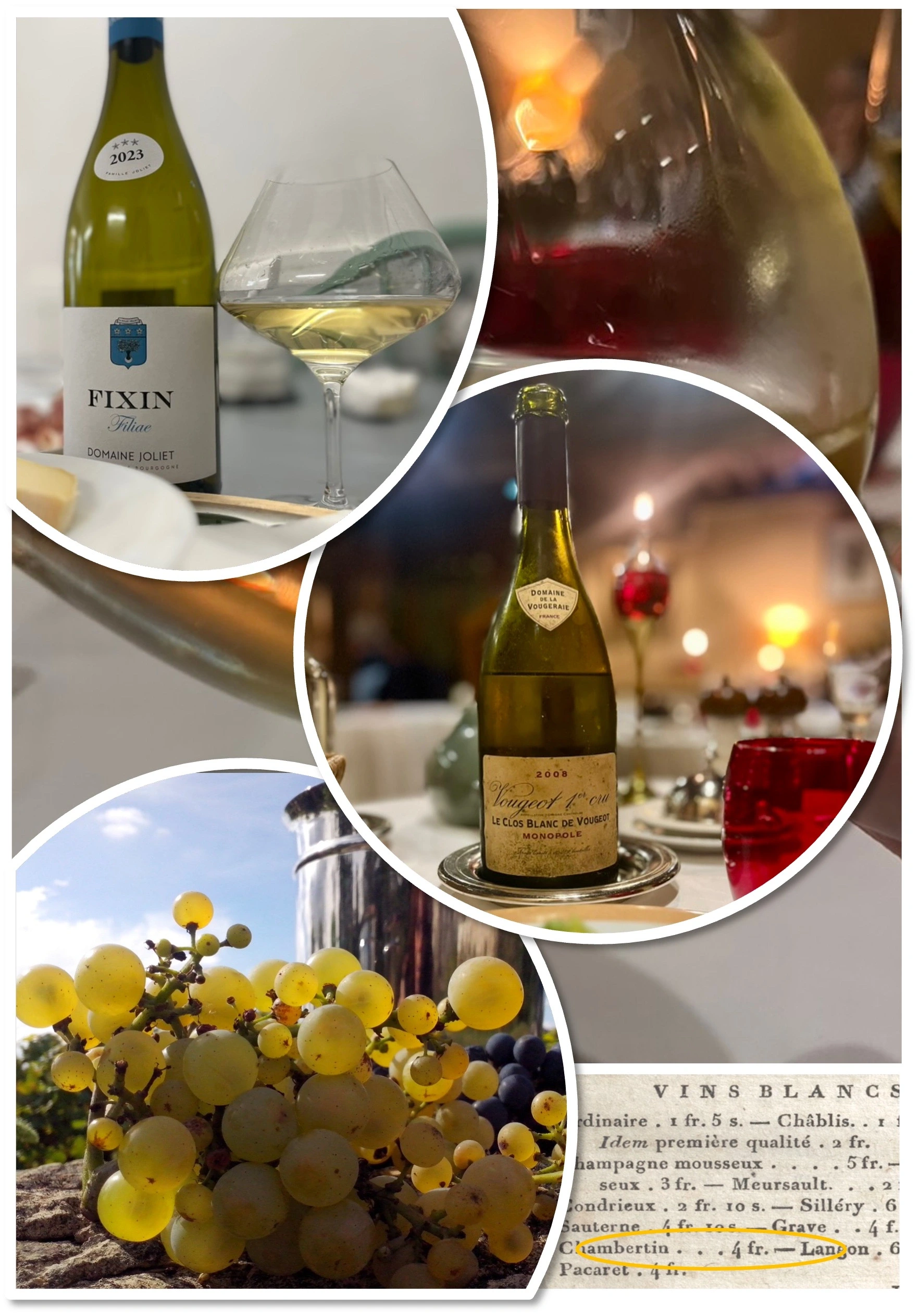 Atelier oenohistorique : Les vins blancs ! Une exception en Côte de Nuits