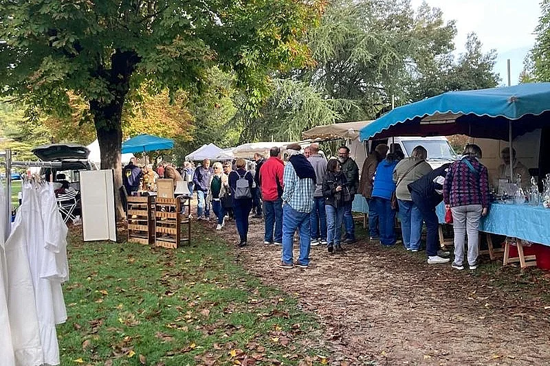 Brocante professionnelle