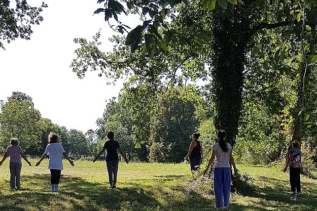 Stage de Yoga