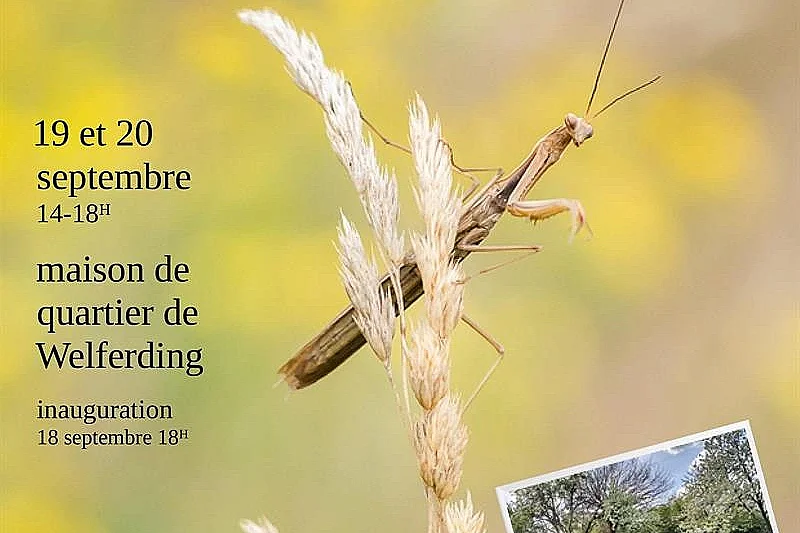 Journées du Patrimoine - expo photo, la beauté de la biodiversité dans nos jardins