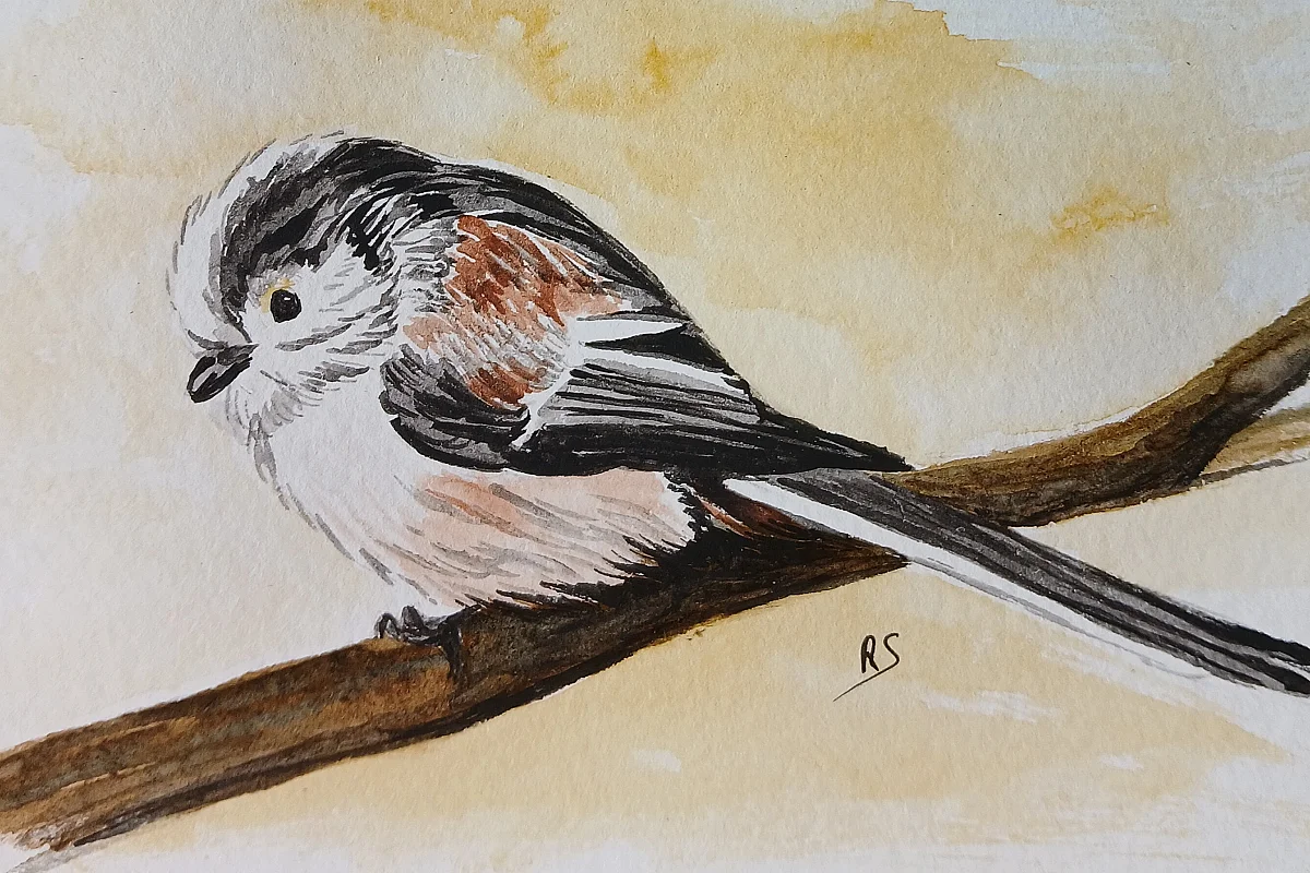 Exposition de peinture : Séverine Rennane