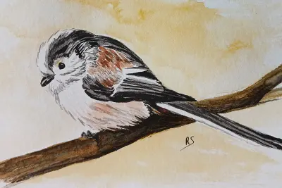 Exposition de peinture : Séverine Rennane