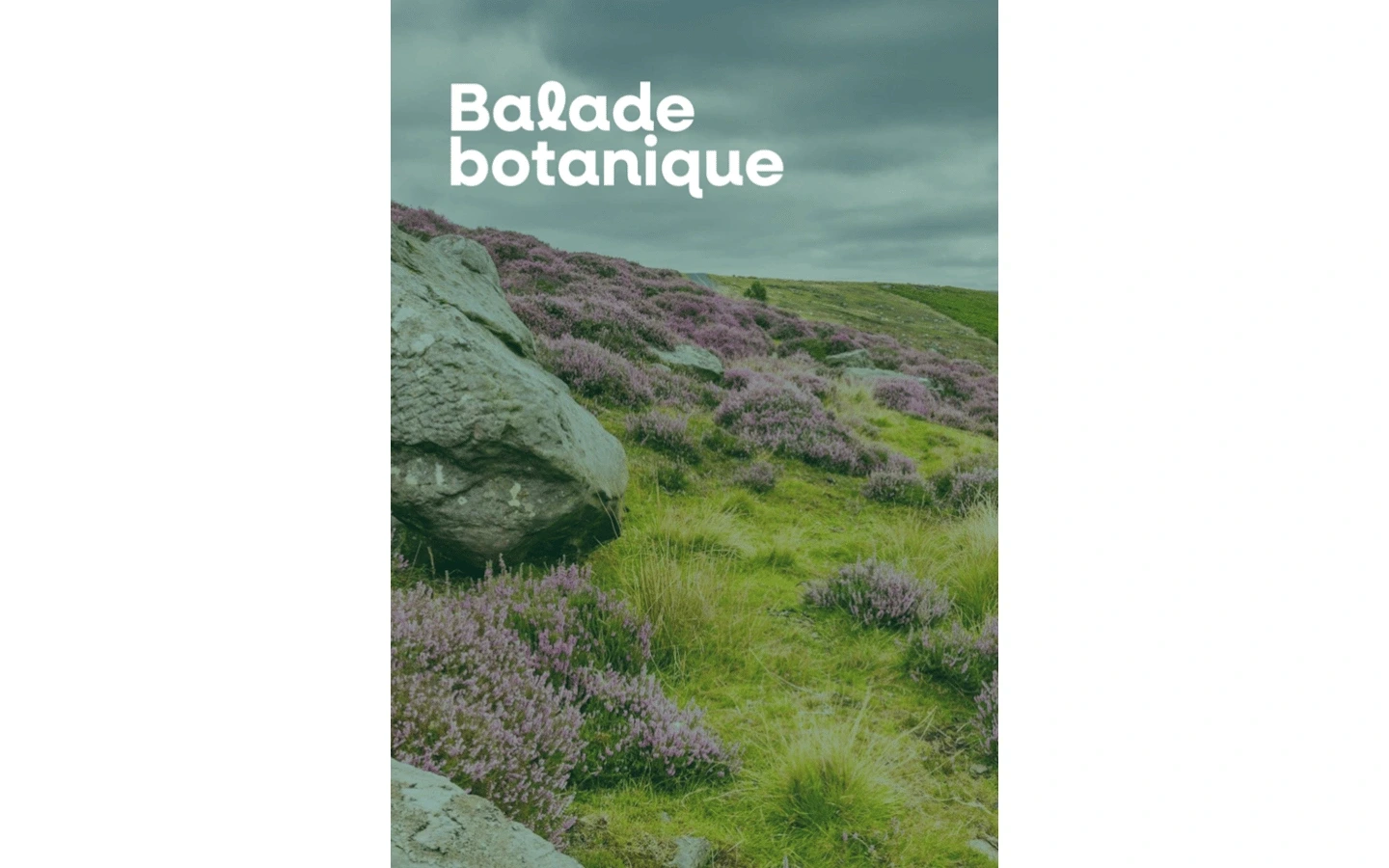 Balade botanique