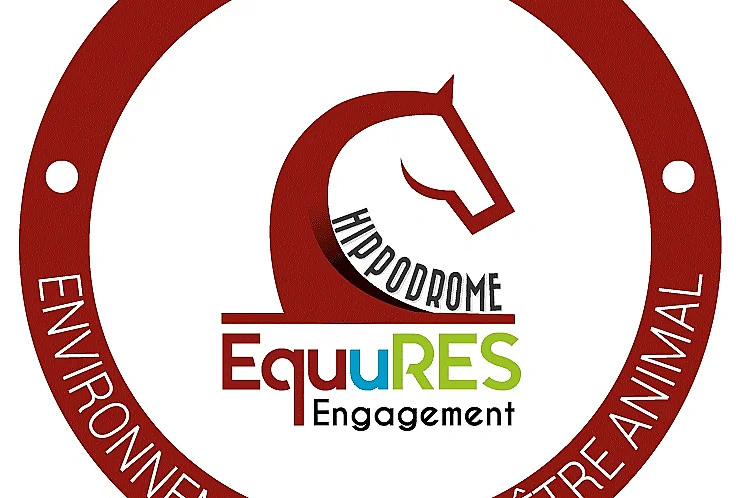 Courses hippiques - Tout galop