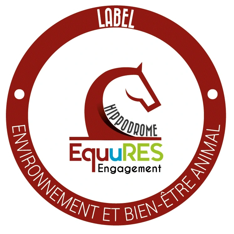 Courses hippiques - Tout galop
