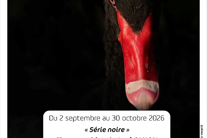 Exposition José Canon