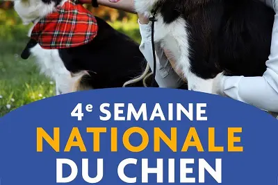 Semaine Nationale du Chien au Pays Thionvillois