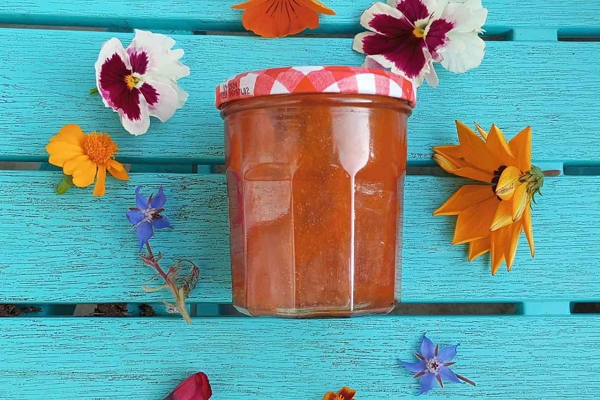 Balade gourmande d’automne : cueillette et atelier confiture