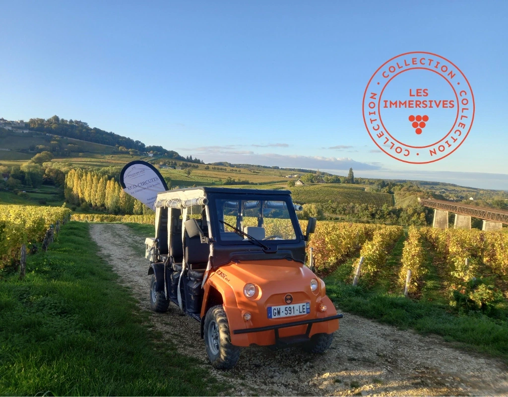[Vignobles en Scène !] Eco-circuit des terroirs de Sancerre