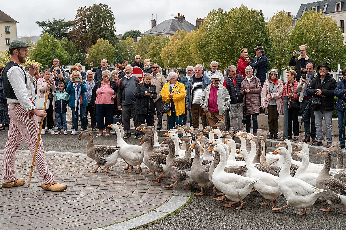 Fête des vendanges 2026