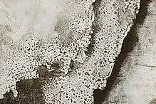 Exposition « Entre ciel et terre »