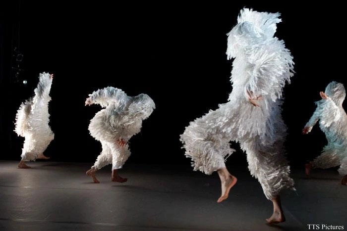 Danse - A4 (comme la feuille)