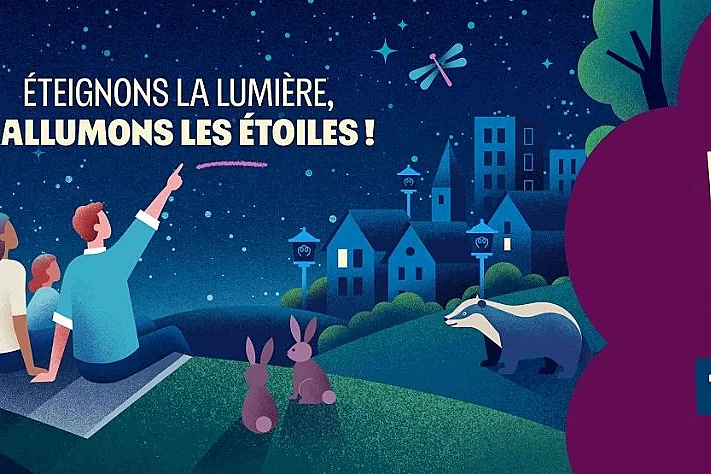 Balade crépusculaire dans les marais