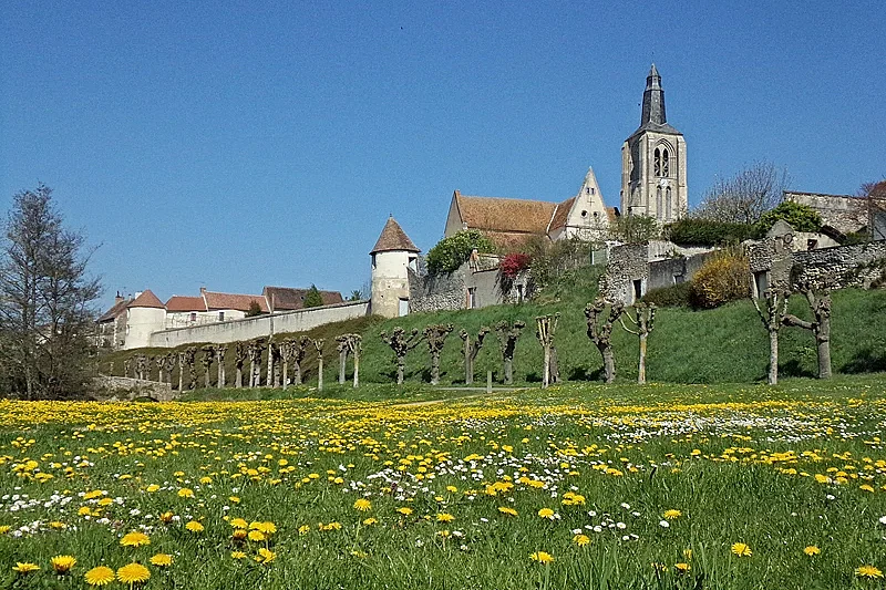 Fête de la Saint-Aignan