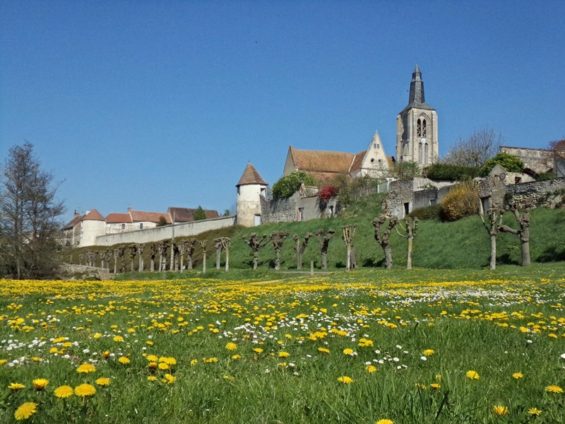 Fête de la Saint-Aignan