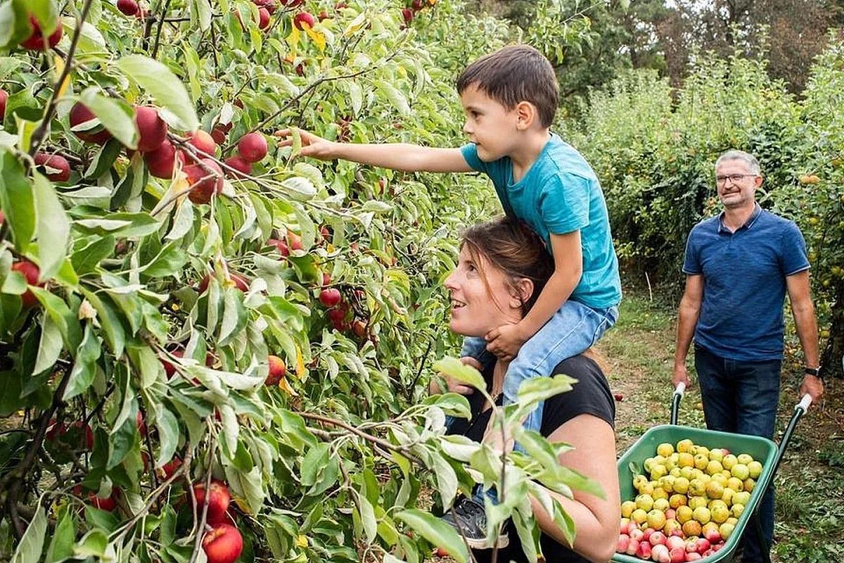 Fête de la pomme, à la Cueillette de l'Aragnon