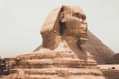 L'Egypte de Napoléon