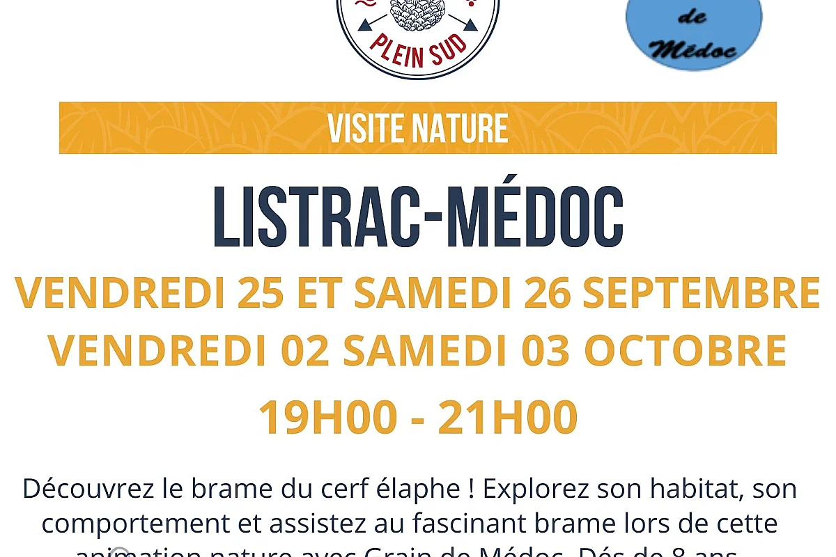 Sortie nature. À l’écoute du brame du cerf !