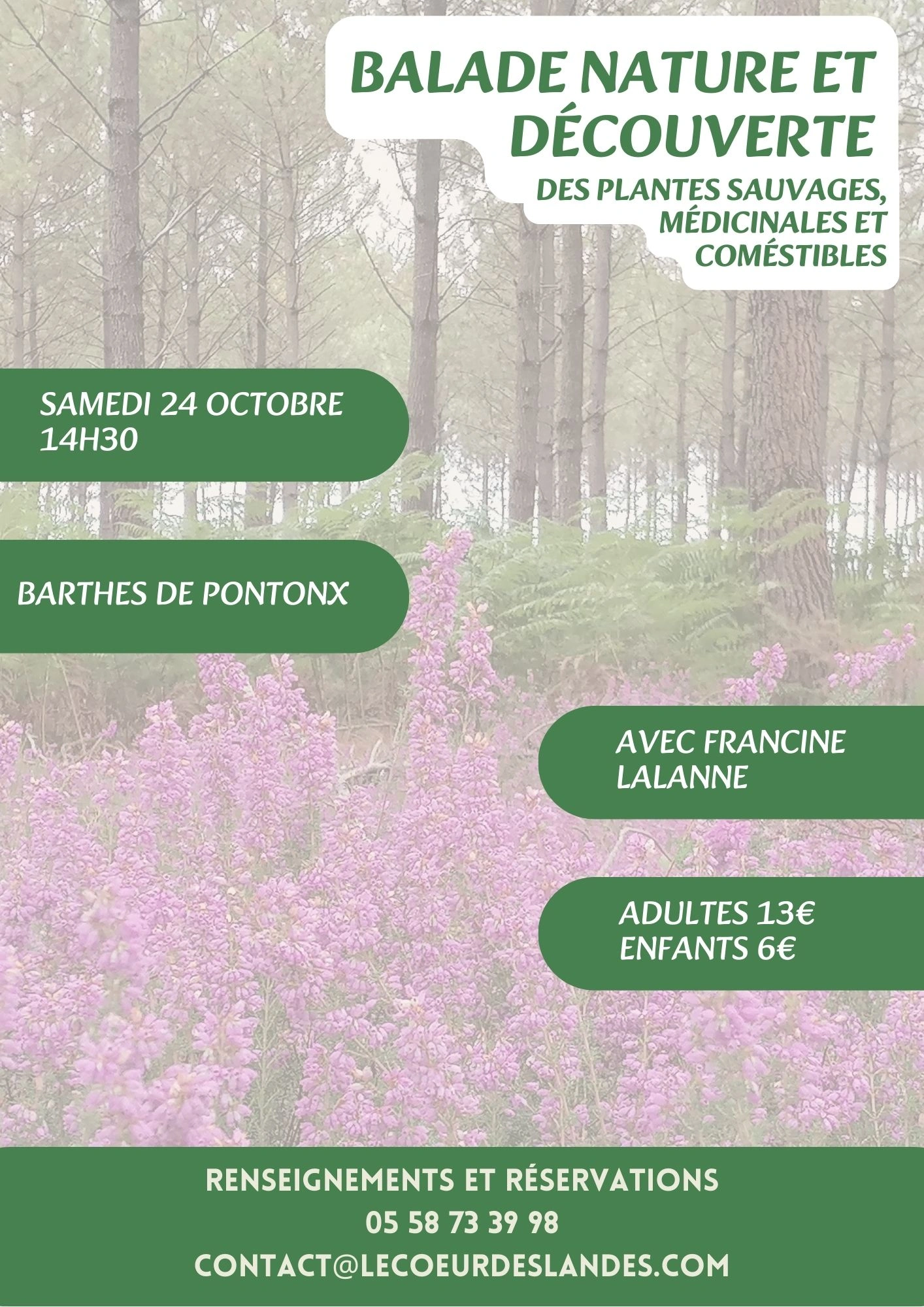 A la découverte des plantes sauvages, médicinales et comestibles avec Francine